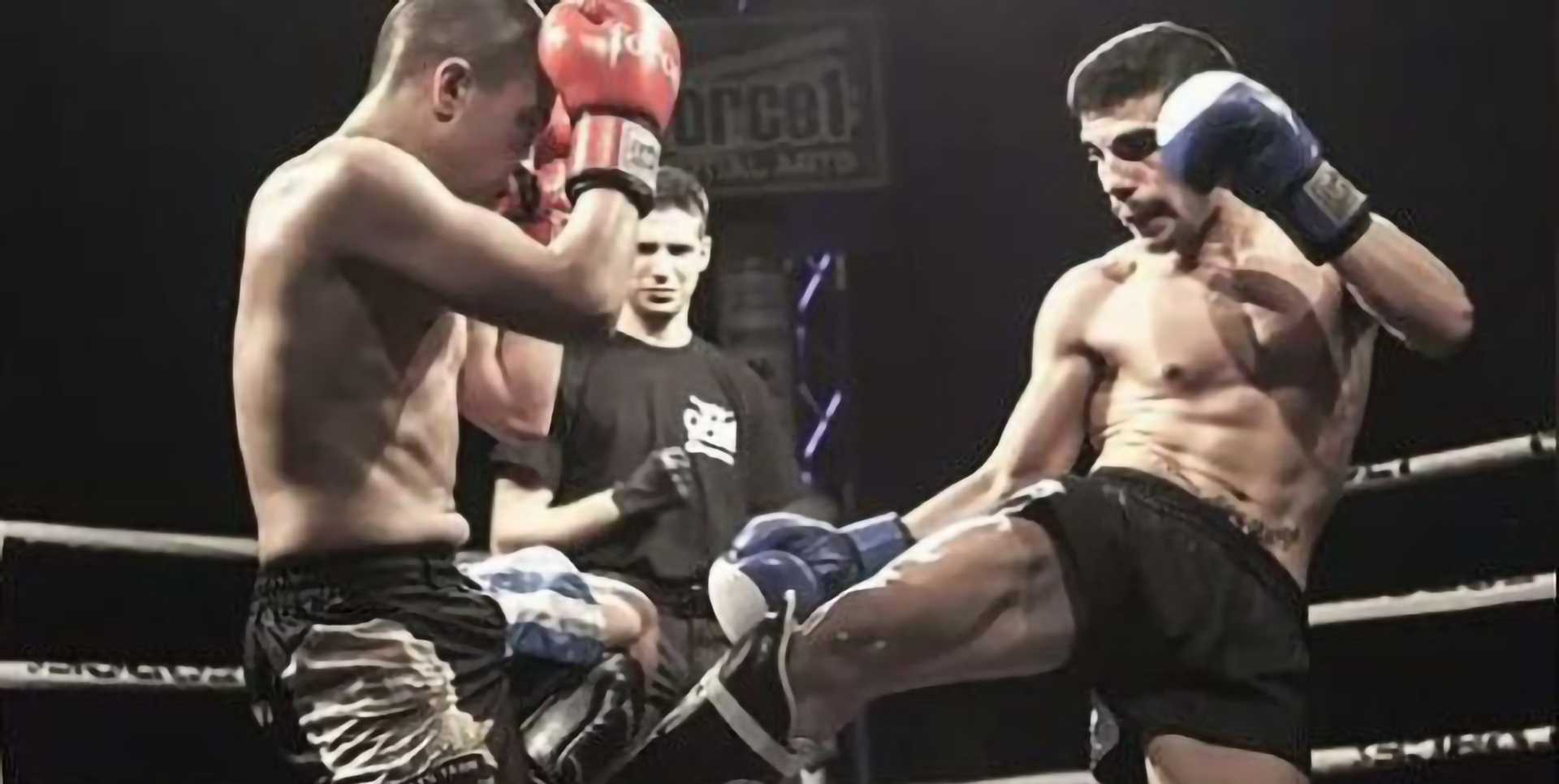 marios-loula-low-kick-komodo